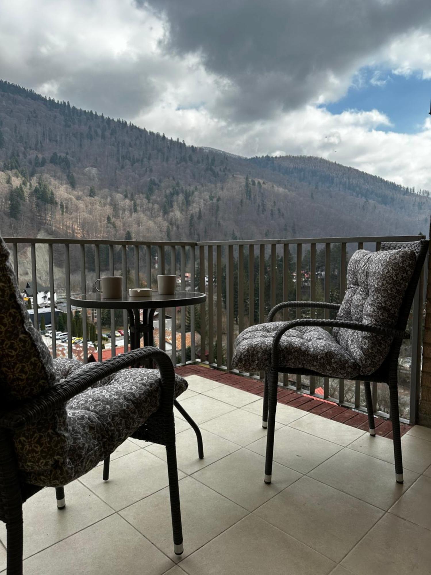 Colette Studio Belleview Sinaia Esterno foto