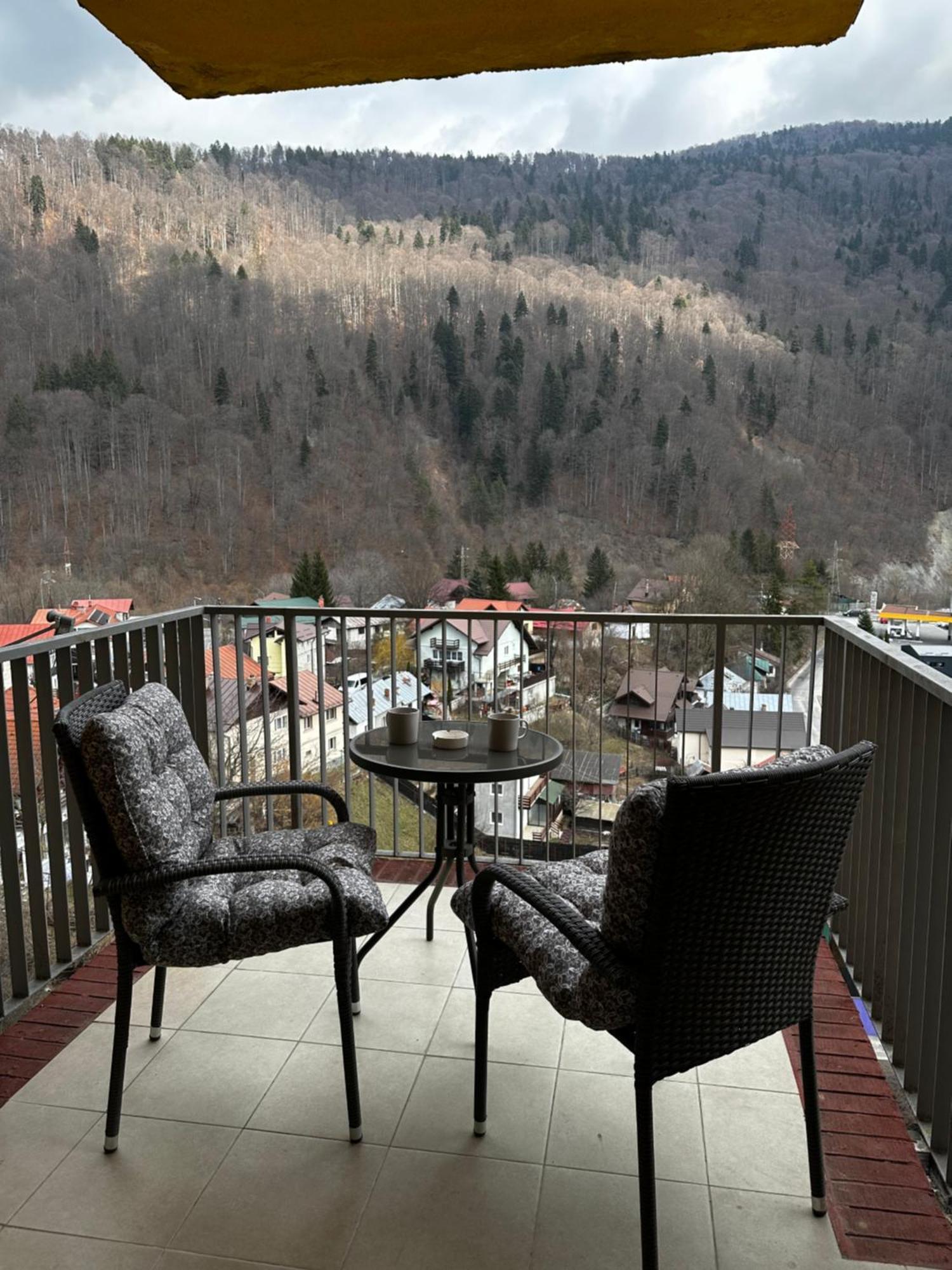 Colette Studio Belleview Sinaia Esterno foto